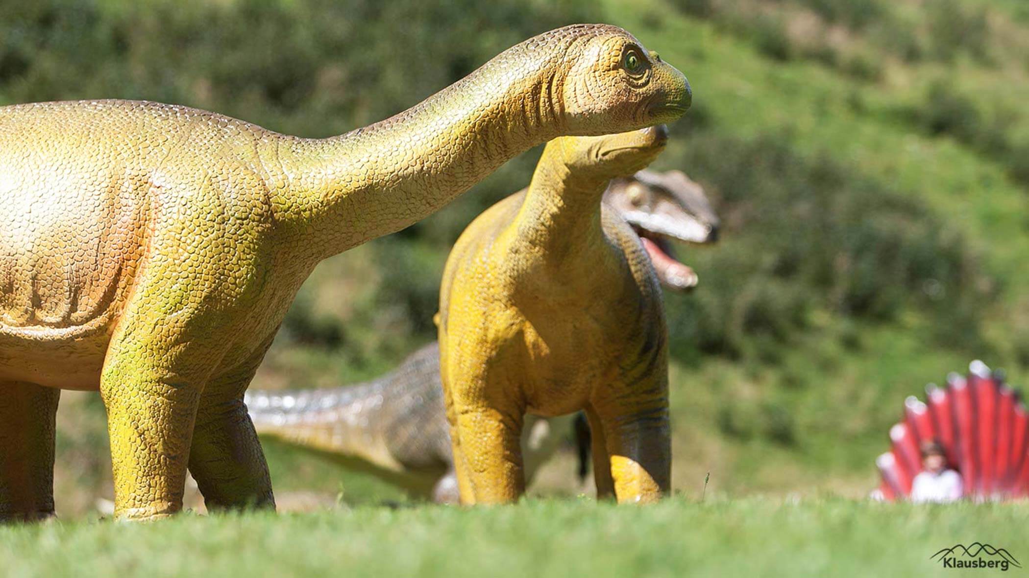 Dinoland am Klausberg
