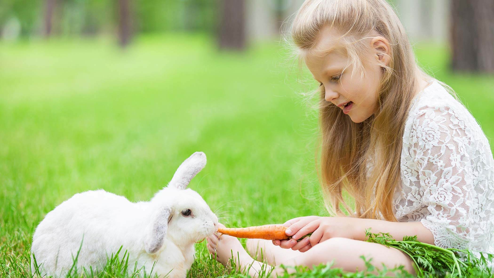 Streichelzoo am Speikboden