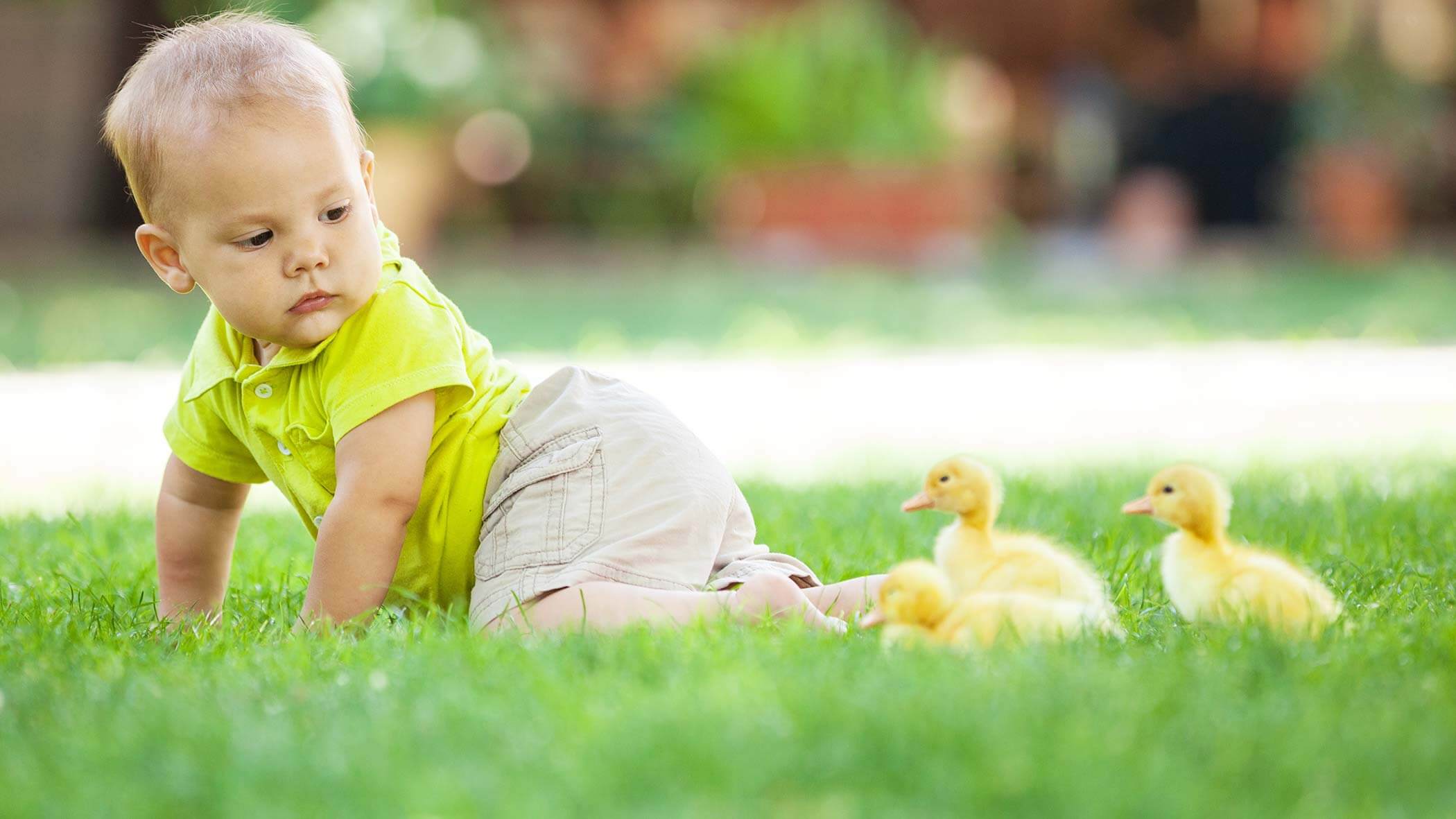 Speikboden im Sommer - Streichelzoo