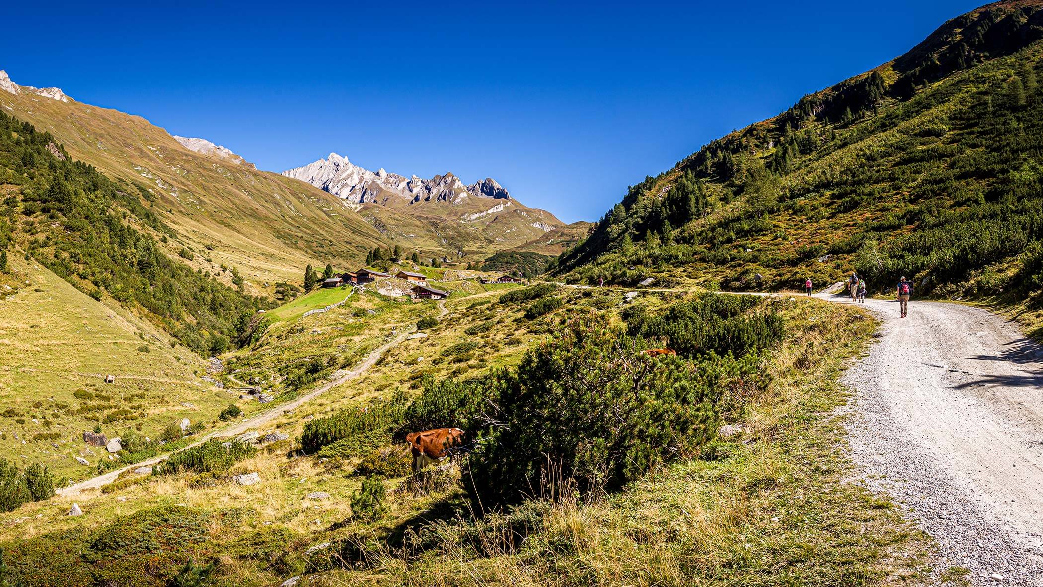 Wanderweg zur Knuttenalm