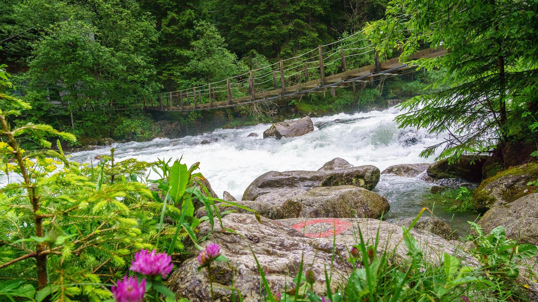 Brücke - Reinbach Wasserfälle